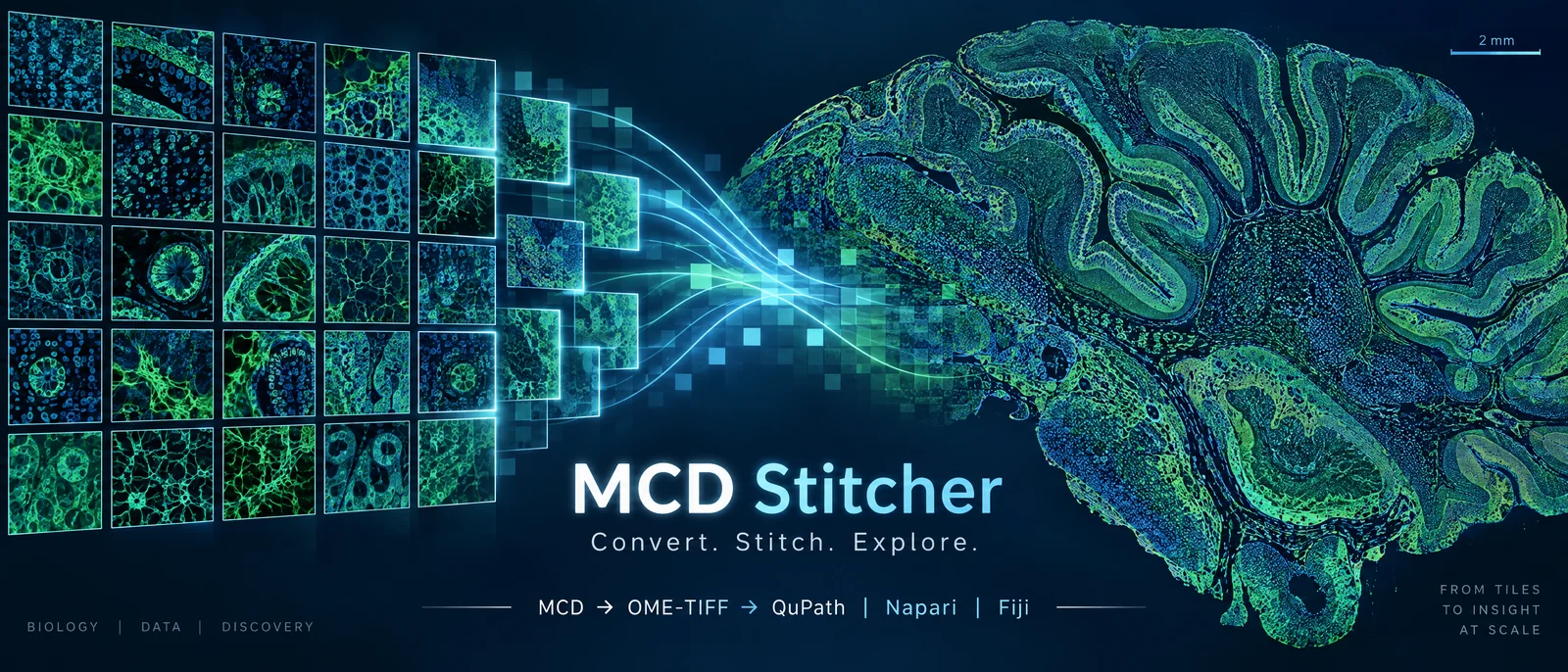 MCD Stitcher — Convert. Stitch. Explore.