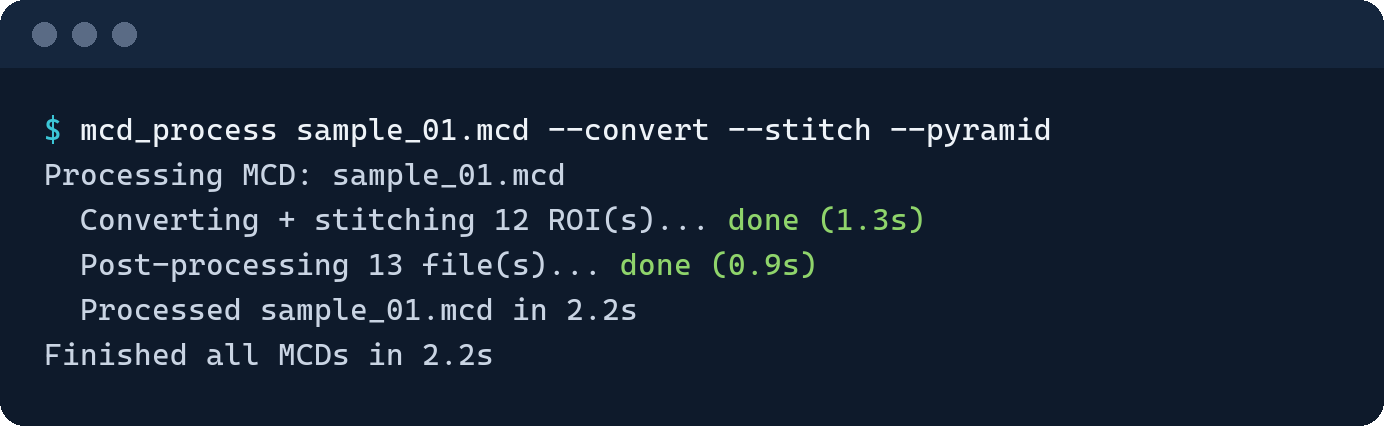Terminal output of mcd_process with --convert --stitch --pyramid